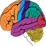 Sine Waves Brain Tuner Files