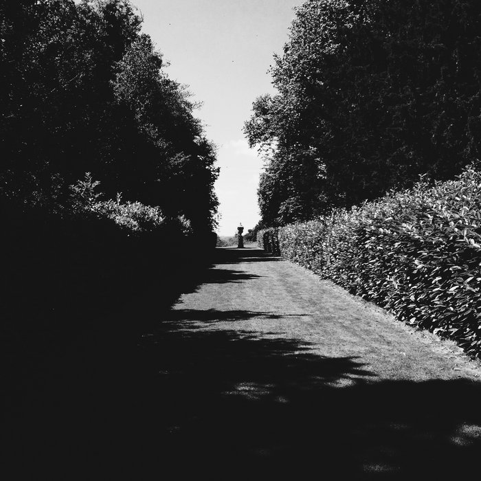 A Seminal Tragedy Dane C Fogdall