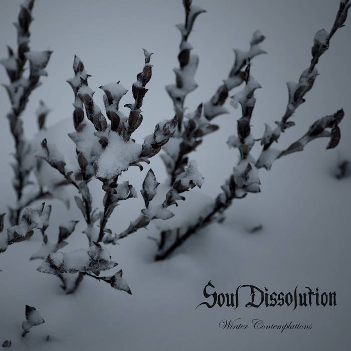 Soul_dissolution Winter_contemplations