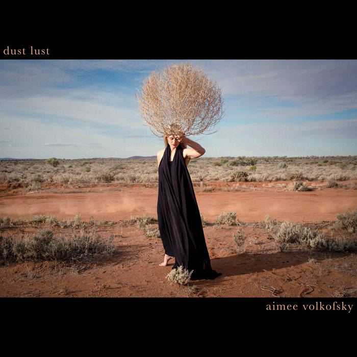 Dust Lust | Aimee Volkofsky