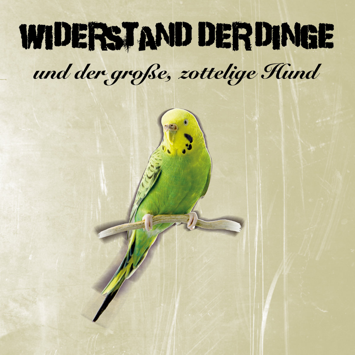 Widerstand der Dinge und der große, zottelige Hund