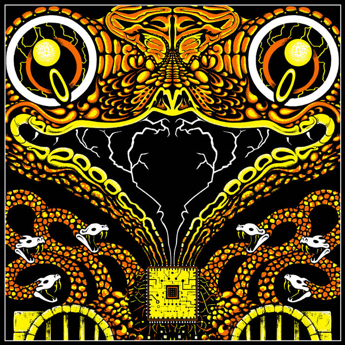Amazon.com: Snakes and Other Reptiles: An Image Archive for