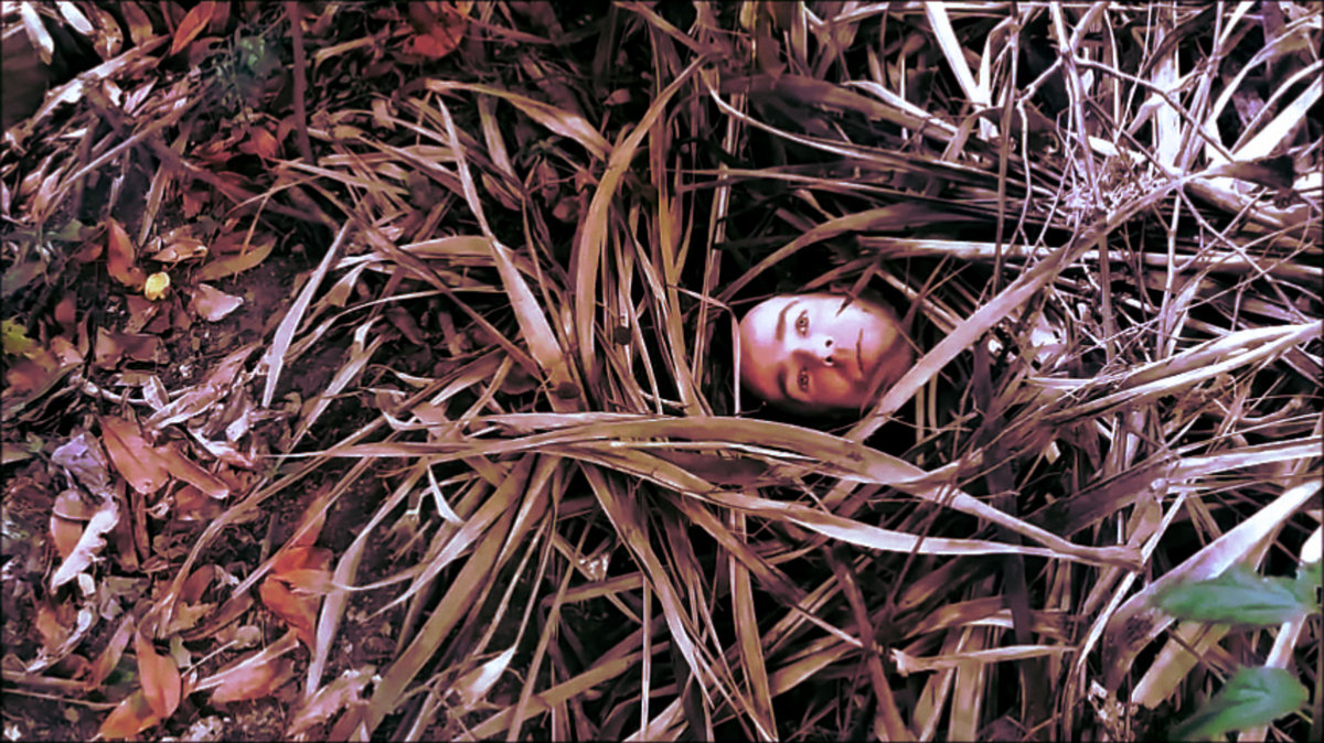 Pushed single cover art