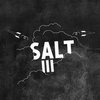 SALT III Cover Art