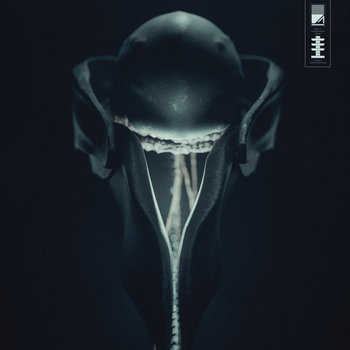 Music | Void+1 Recordings