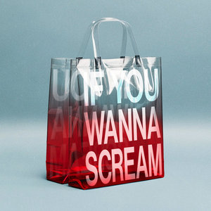 If You Wanna Scream cover