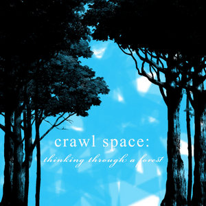 Thinking Through a Forest [SINGLE] cover
