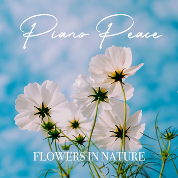 Flowers in Nature | Piano Peace