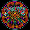 Cycles