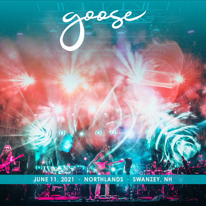 2021/06/11 Northlands, Swanzey, NH Goose