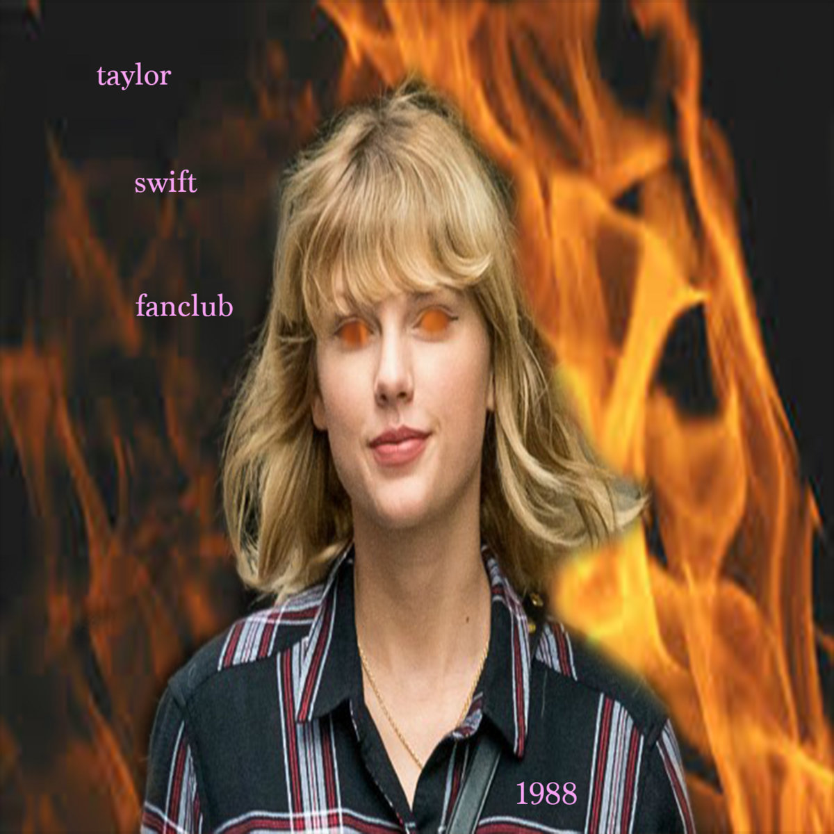 19 Taylor Swift Fanclub Jsk Disks