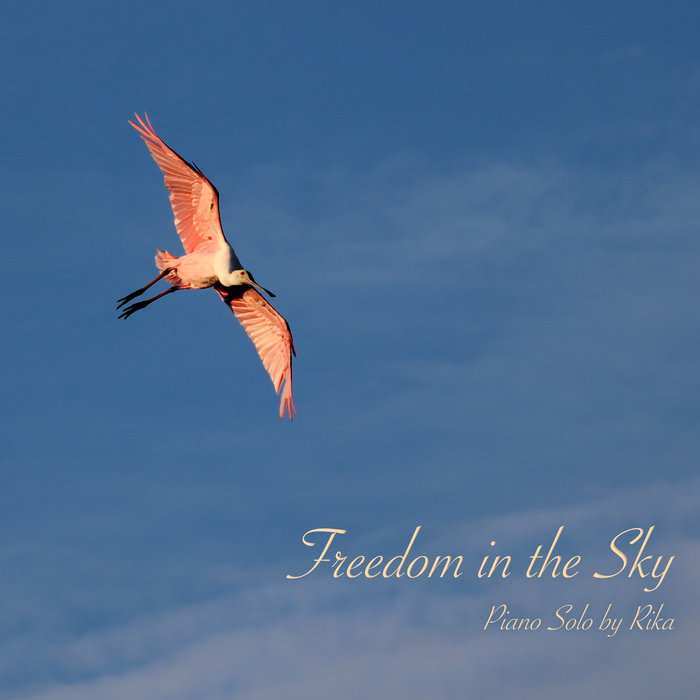 Freedom in the Sky cover art