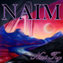 Next Try cover art