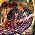 Gamma Sector - Organs Engorged