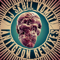Antigoon Remixes cover art