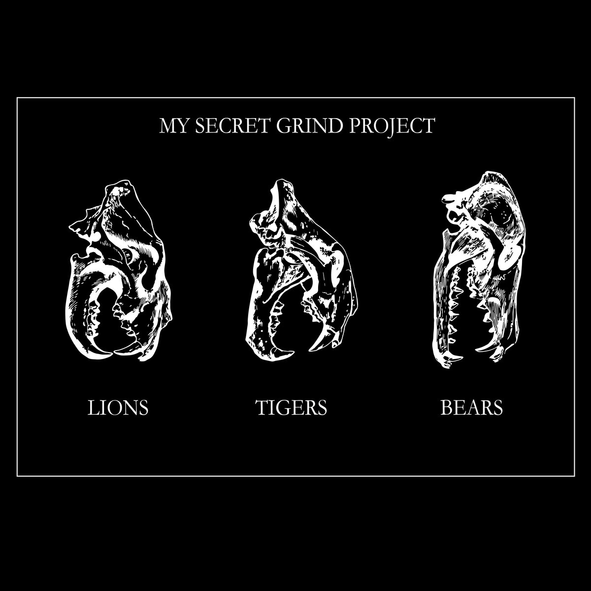 Lions, Tigers, Bears | My Secret Grind Project
