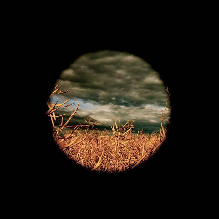 Знак wrong away. Явление 2008. Wrong path. Wrong path. Wrong path.