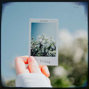 Bloom cover