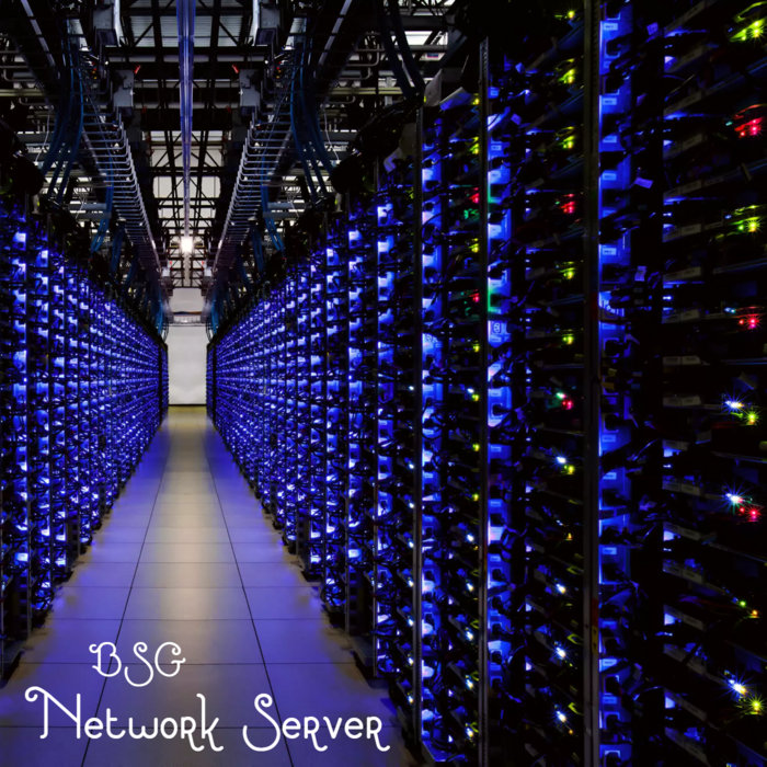 Network Server | BSG | Boris S.G
