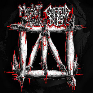 Musket Hawk | Coffin Dust Split cover