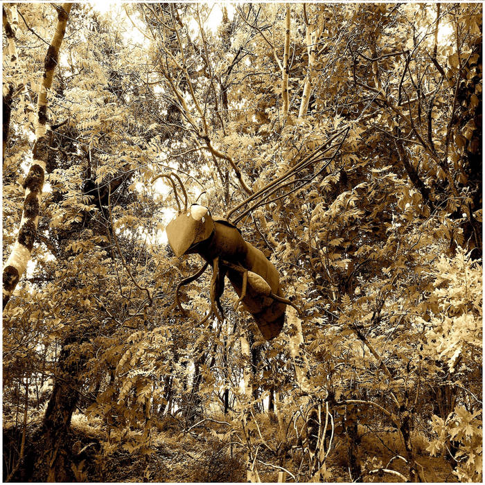洋楽 Francisco Lopez untitled #290 CD untitled (2021-2022) | francisco lópez