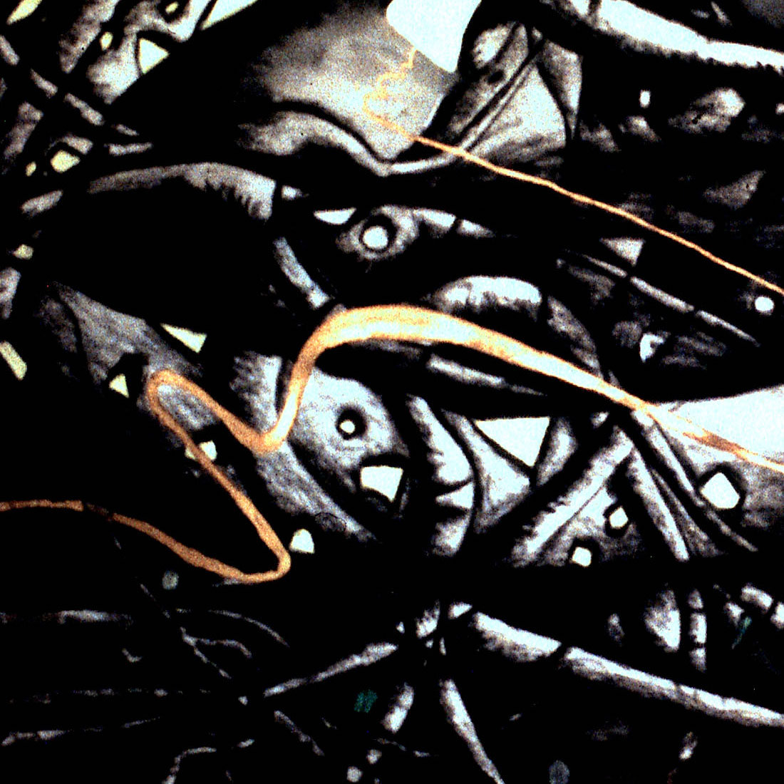 a3474586568_10.jpg