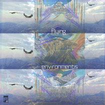 Flying Environments cover art