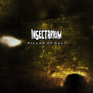 pillar of salt cover