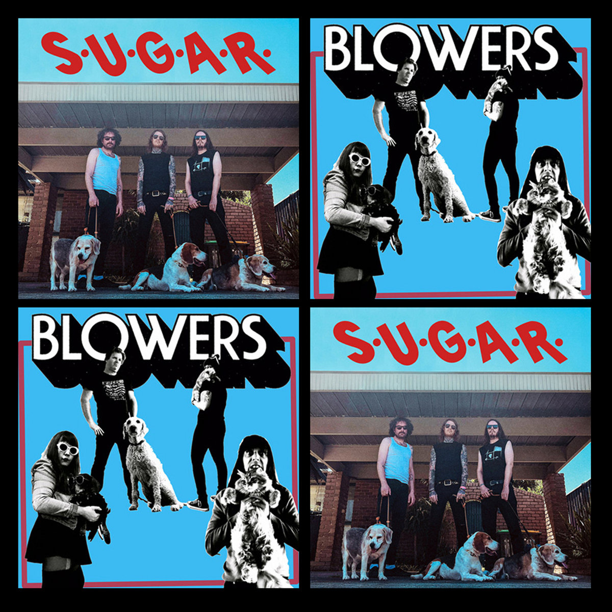 S.U.G.A.R. / BLOWERS | S.U.G.A.R. / BLOWERS (ALIEN SNATCH! RECORDS
