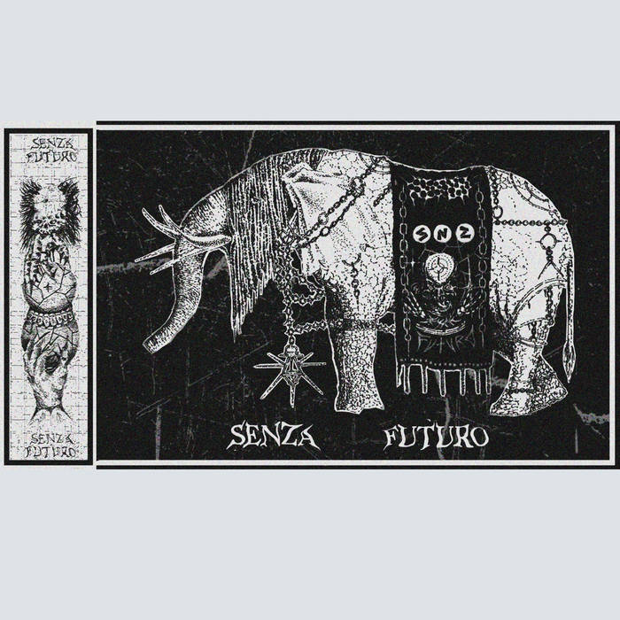 PUNK 初版 zxcphonkk?: álbuns, músicas, shows | Deezer