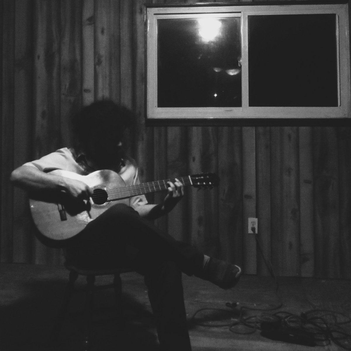 slow creeping vine | Bino