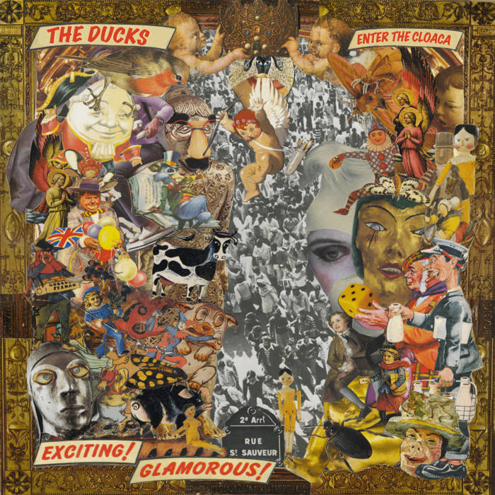 Enter The Cloaca The Ducks Will Fxck You 