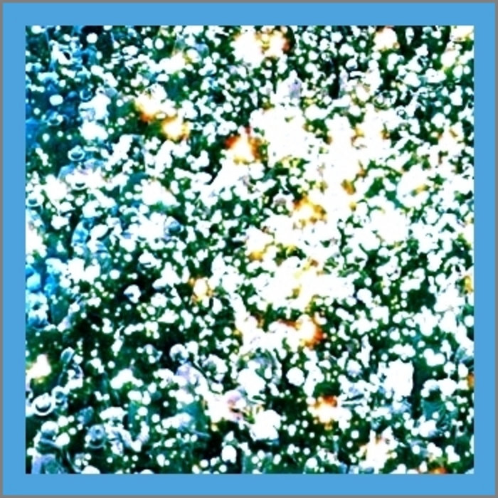 LP1, by CUSH
