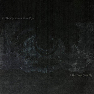 The Days Gone Byasthelifeleavesyoureyes cover
