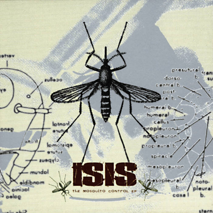 【限定オリジナルカラー盤】Isis Mosquito Control EP The Mosquito Control EP | ISIS
