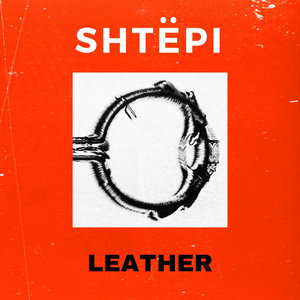 Leather cover