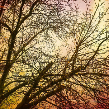 The Night Terrors of W. S. Machrowski pt 1