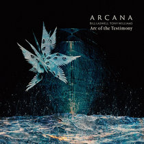 Arc of the Testimony (24 bit) cover art