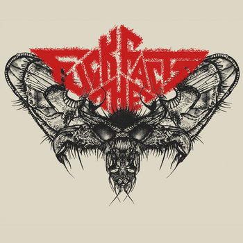 【ラプンツェル様用】FUCK THE FACTS / Disgorge Mexi Fuck The Facts