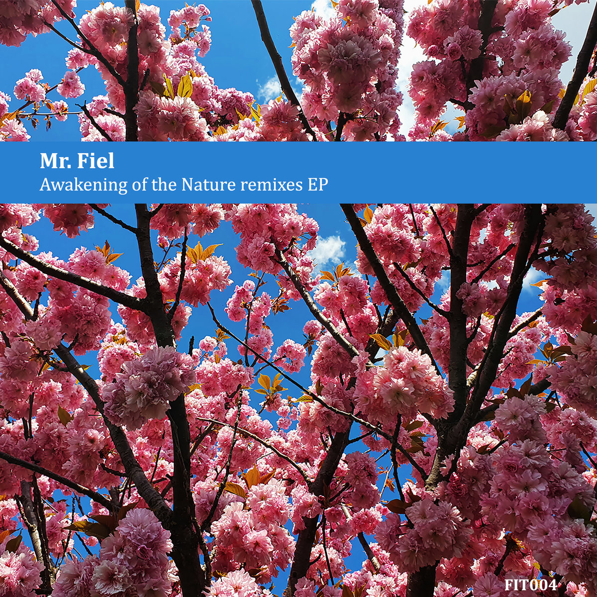 FIT004 Mr. Fiel - Awakening of the Nature remixes EP | Faith In Truth
