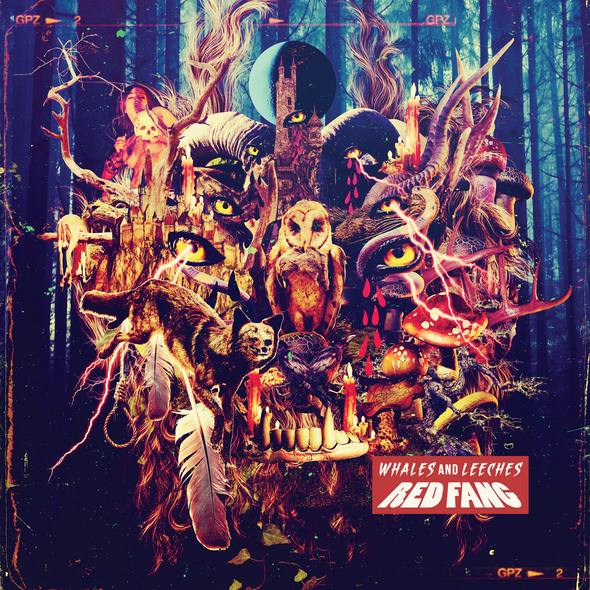 その他 Whales &amp; Leeches [CD] Whales and Leeches | Red Fang