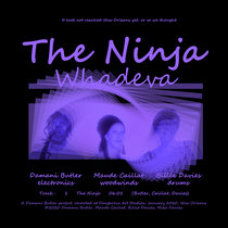 The Ninja cover art