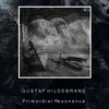 Primordial Resonance