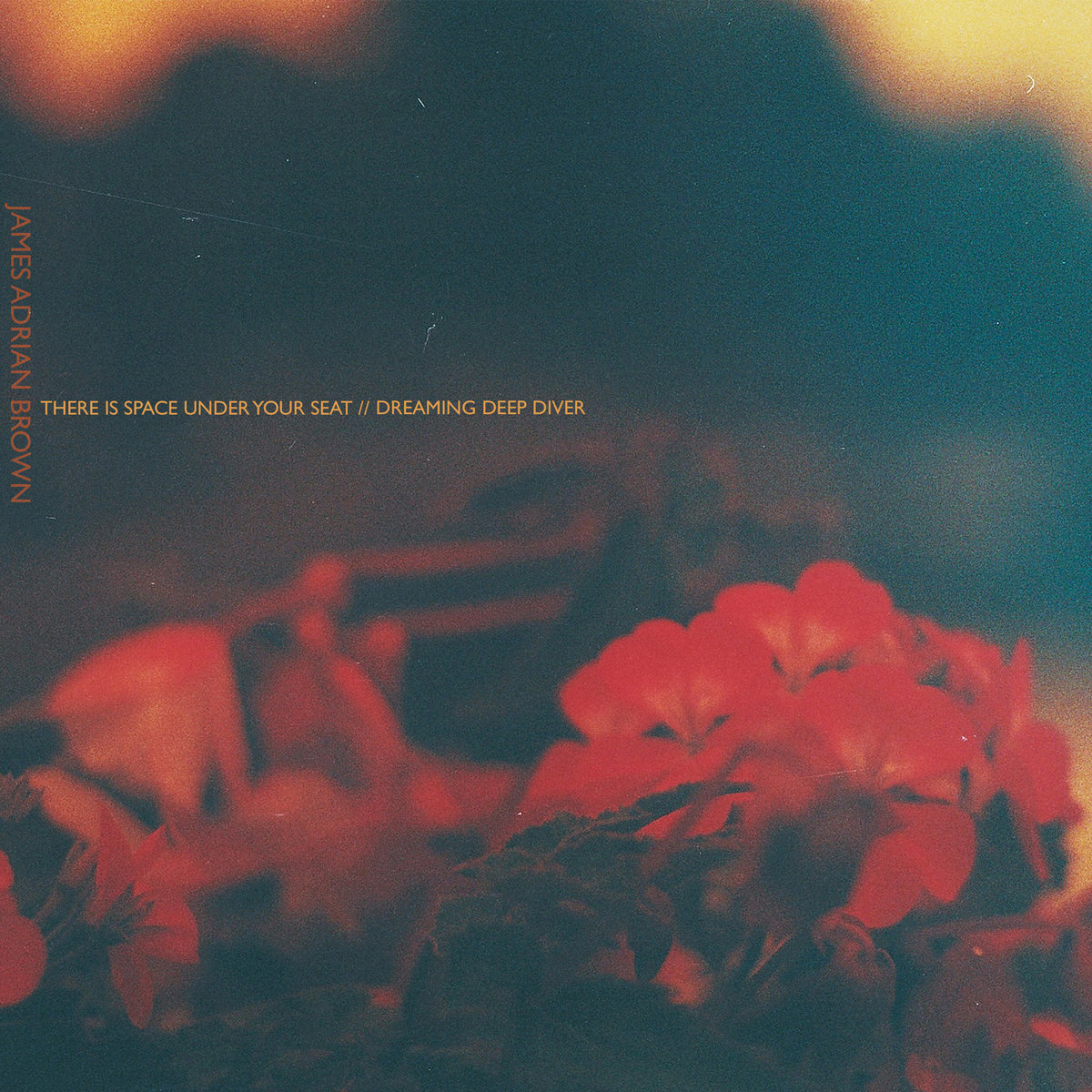 There is Space Under Your Seat | James Adrian Brown