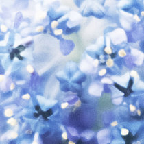 resolve / relate 05 cover art