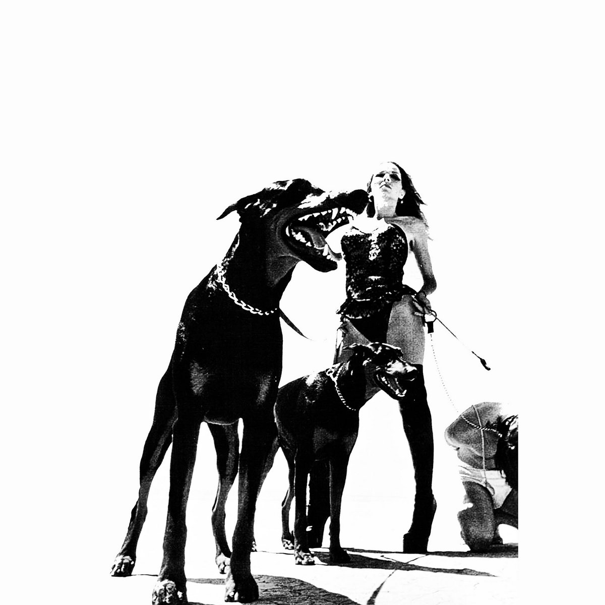 Doberman Loyalty II | Slit Throats