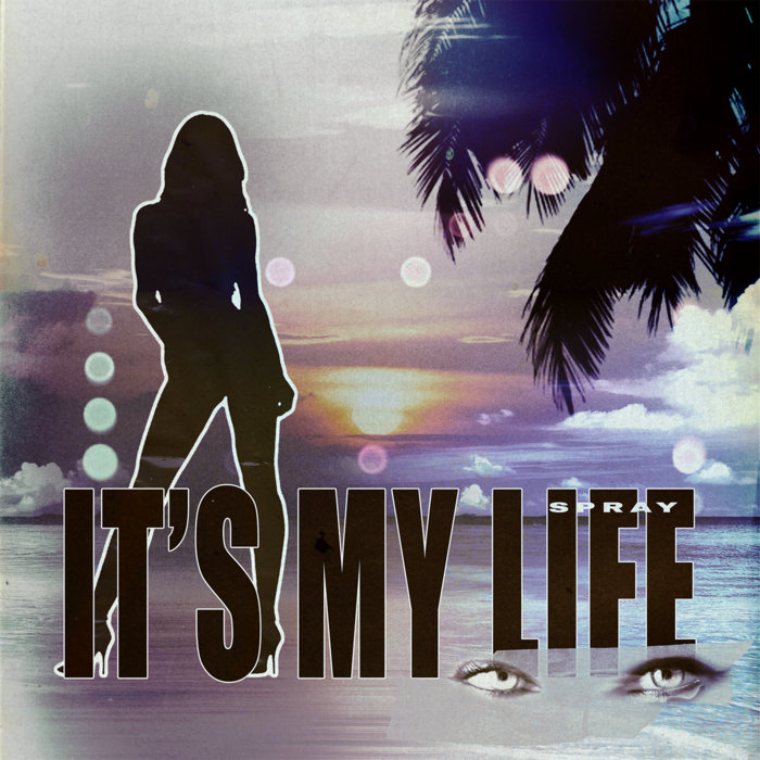 Pochette de It's My Life - City Breaks Vol. 1 par Spray