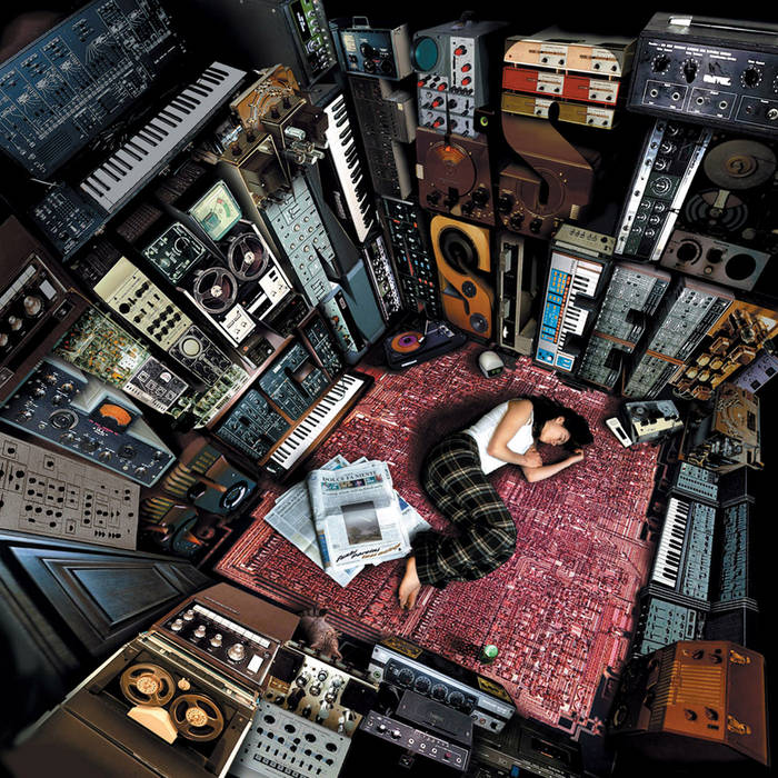 洋楽 FUNKI PORCINI / FAST ASLEEP 2LP Fast Asleep | Funki Porcini