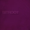 Bitroot EP [prtcl001] Cover Art