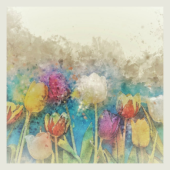 Field of Colours | Anthony Rauscher